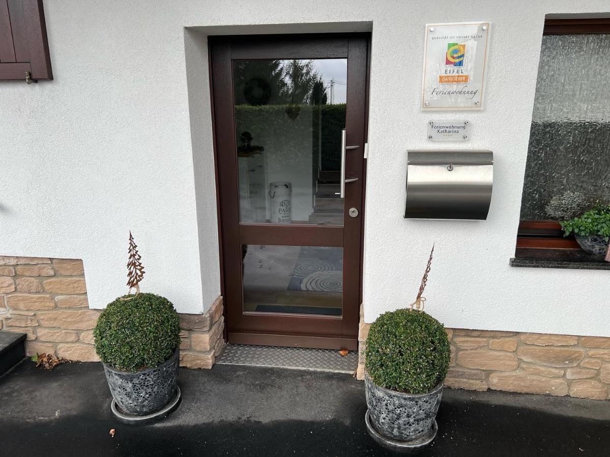 Ferienwohnung Katharina 4 Sterne Laut Dtv Wallbox 11Kw Нидегген Экстерьер фото